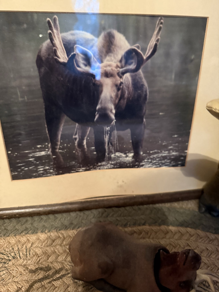 Moose-themed home decor collection - image 3 of 6