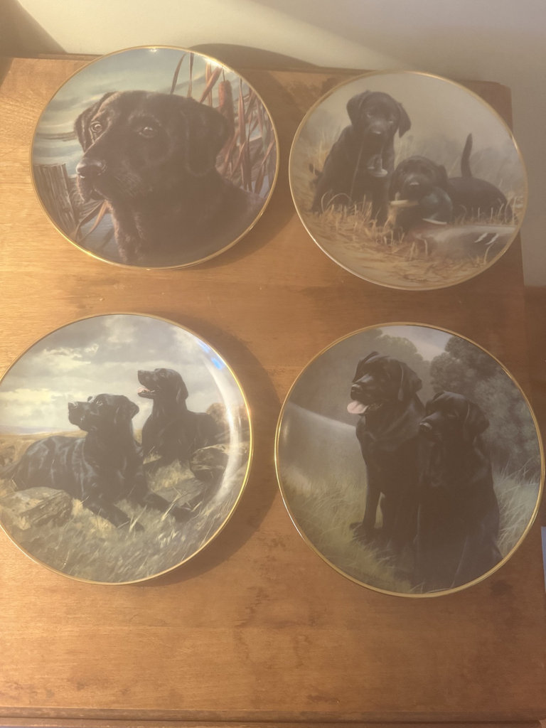 Set of four round decorative plates featuring black Labrador retrievers - image 9 of 9