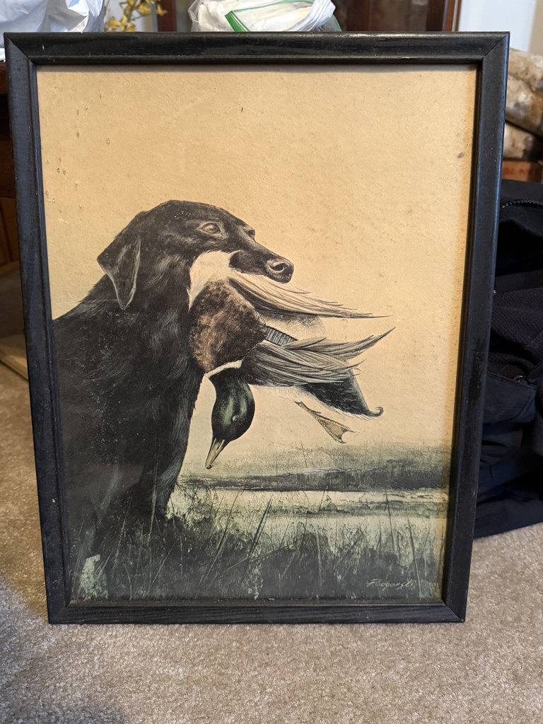 Dog-themed decor and books collection - image 26 of 27