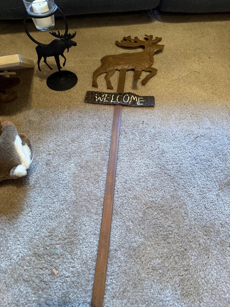 Moose-themed home decor collection - image 7 of 8