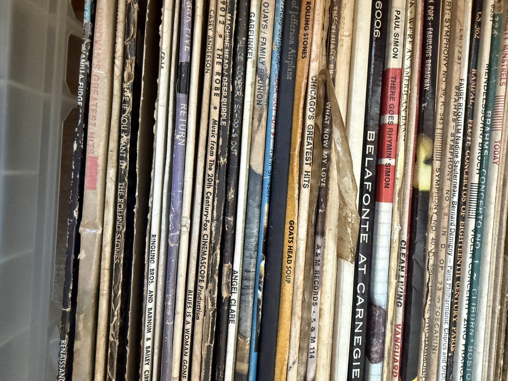 Vinyl record collection - image 5 of 15