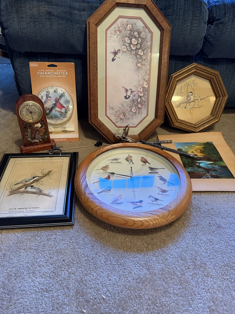 Bird-themed wall art and clocks - image 1 of 8