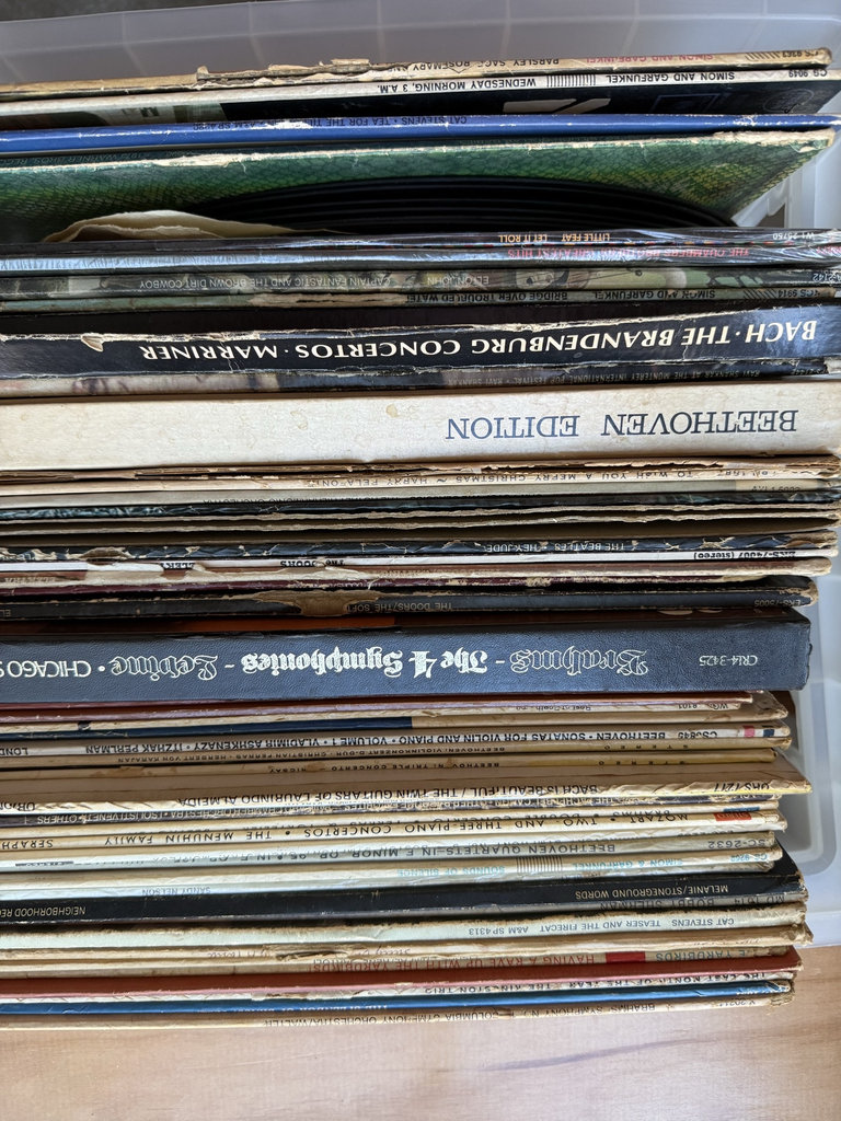 Vinyl record collection - image 2 of 15