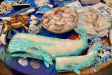 Ocean & Beach Themed Lot - thumbnail 3 of 12