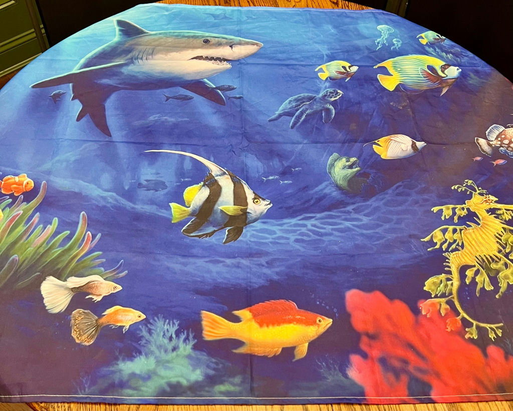 Ocean & Beach Themed Lot - image 12 of 12