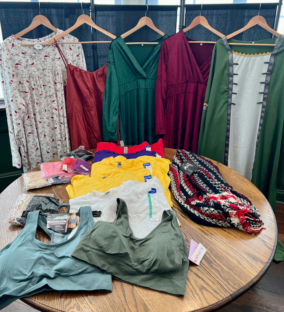 Plus Size Clothing Lot - image 1 of 25