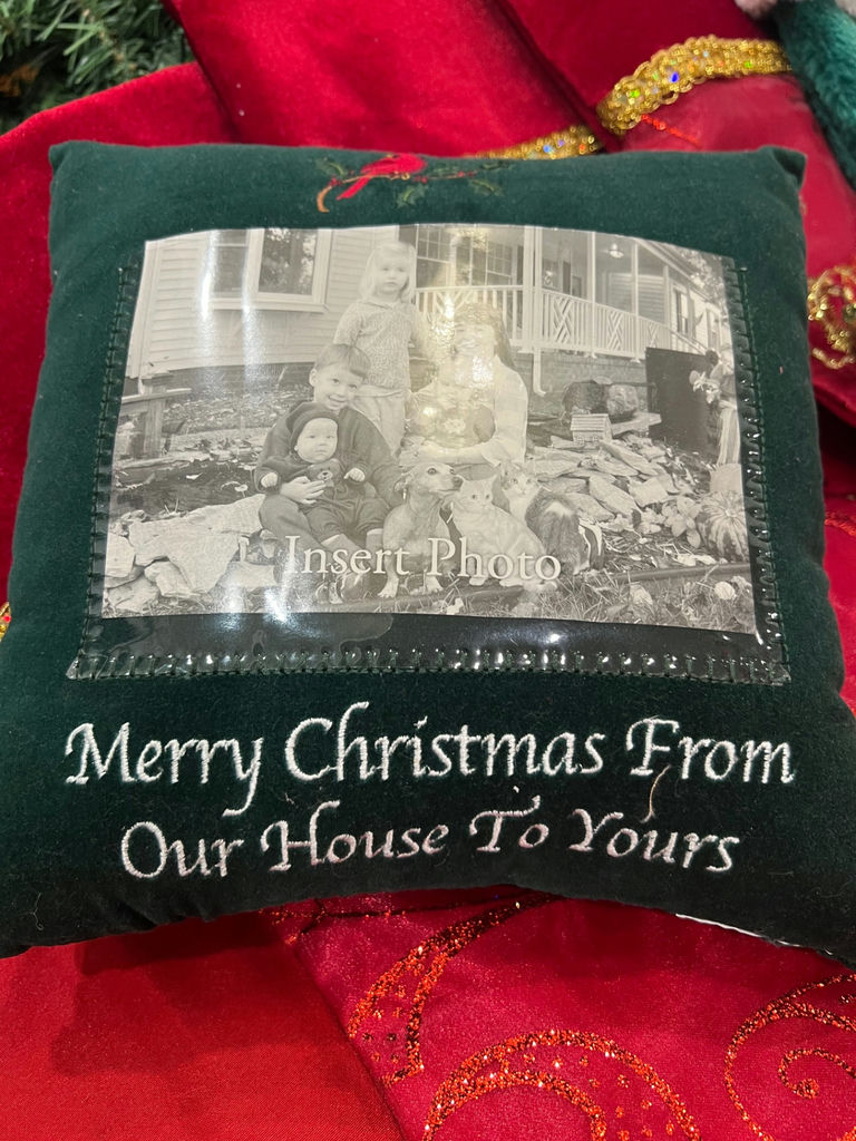 Large Christmas Lot - image 3 of 25