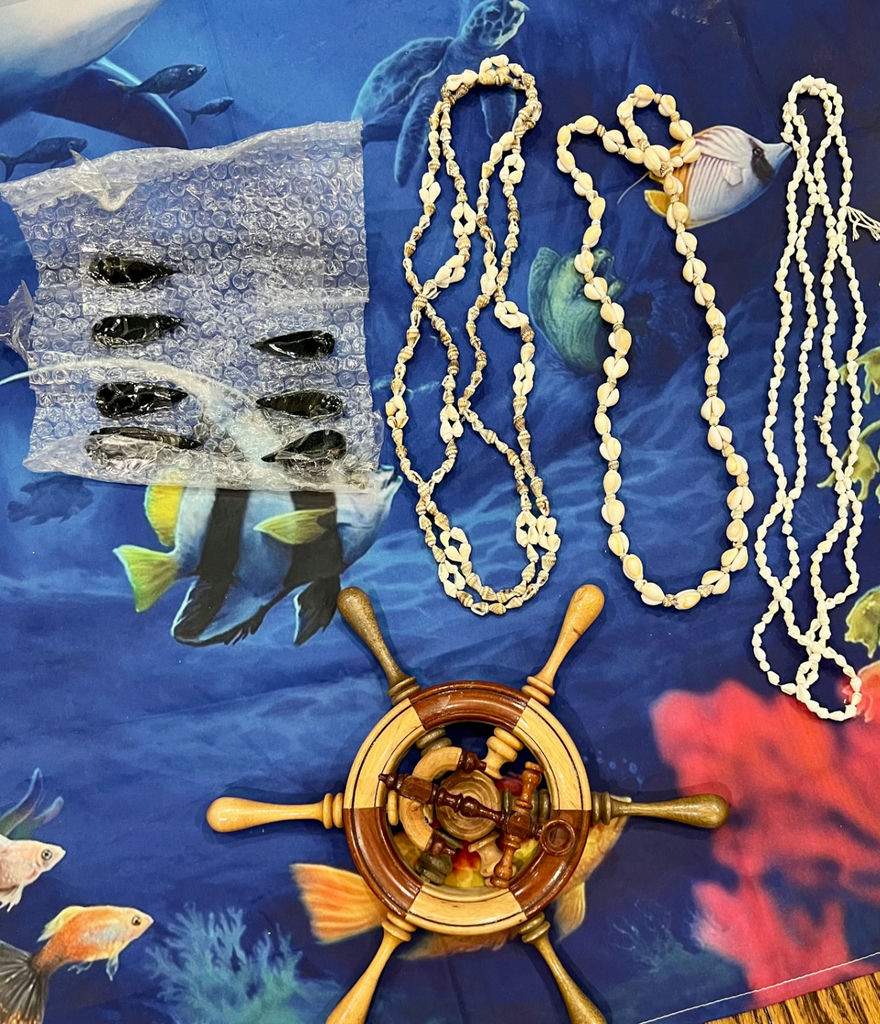 Ocean & Beach Themed Lot - image 11 of 12