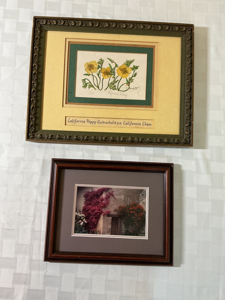 Framed botanical art prints and watercolor  - image 5 of 5