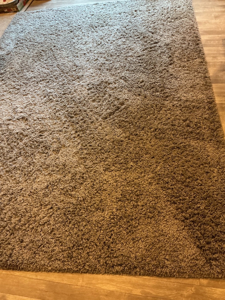 Gray shag area rug - image 2 of 4