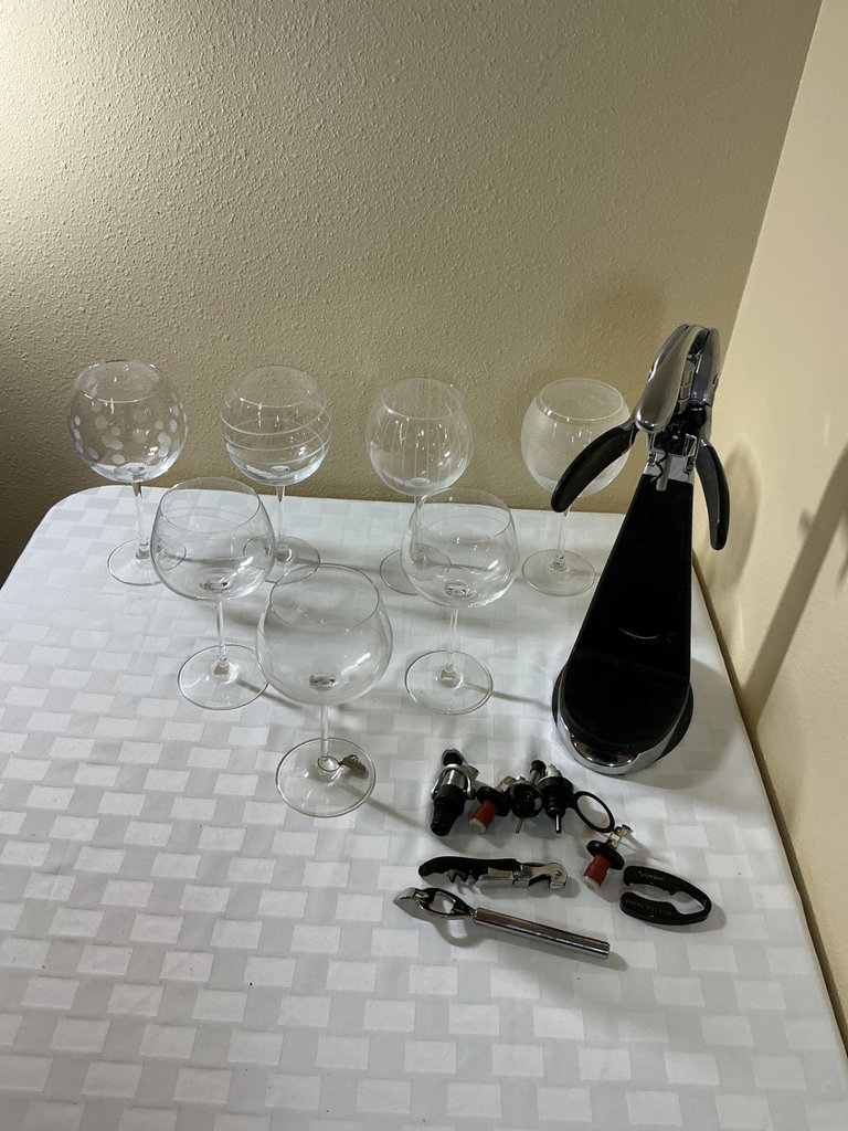 Wine glasses with accessory kit - image 1 of 8