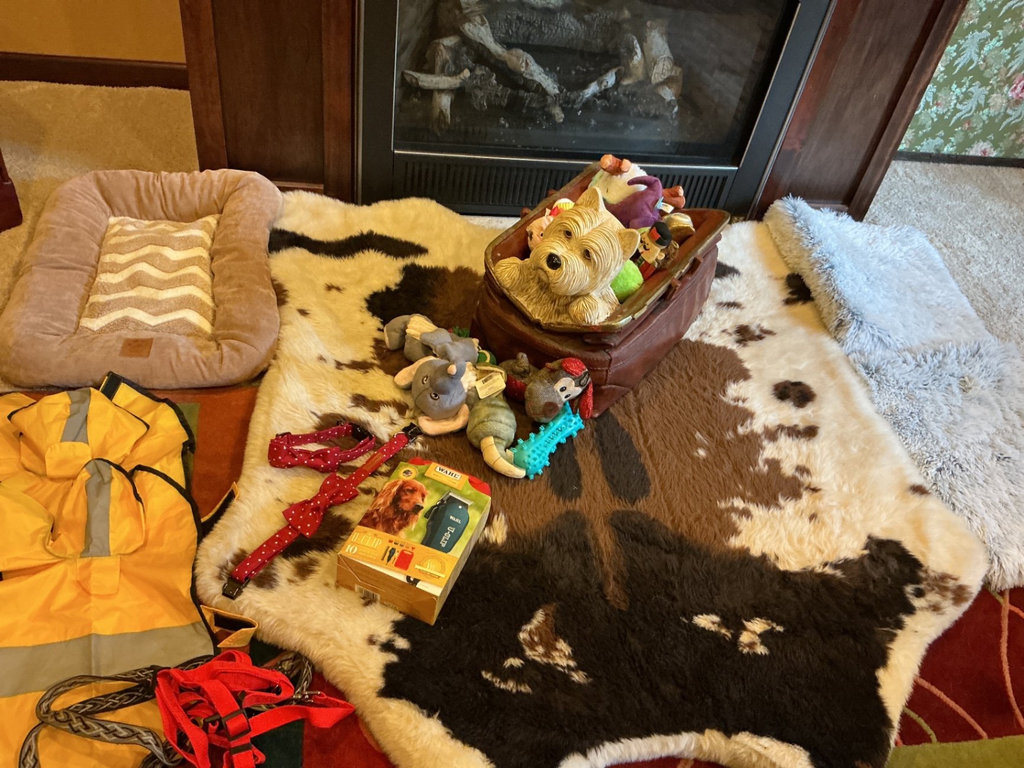 Dog Toys, Accessories, Bedding and Decor - image 1 of 11