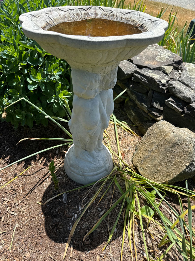 Concrete birdbath on sculpted pedestal - image 2 of 2