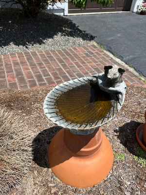 Bird Bath on Terracotta Pedestal - Image 1 of 1