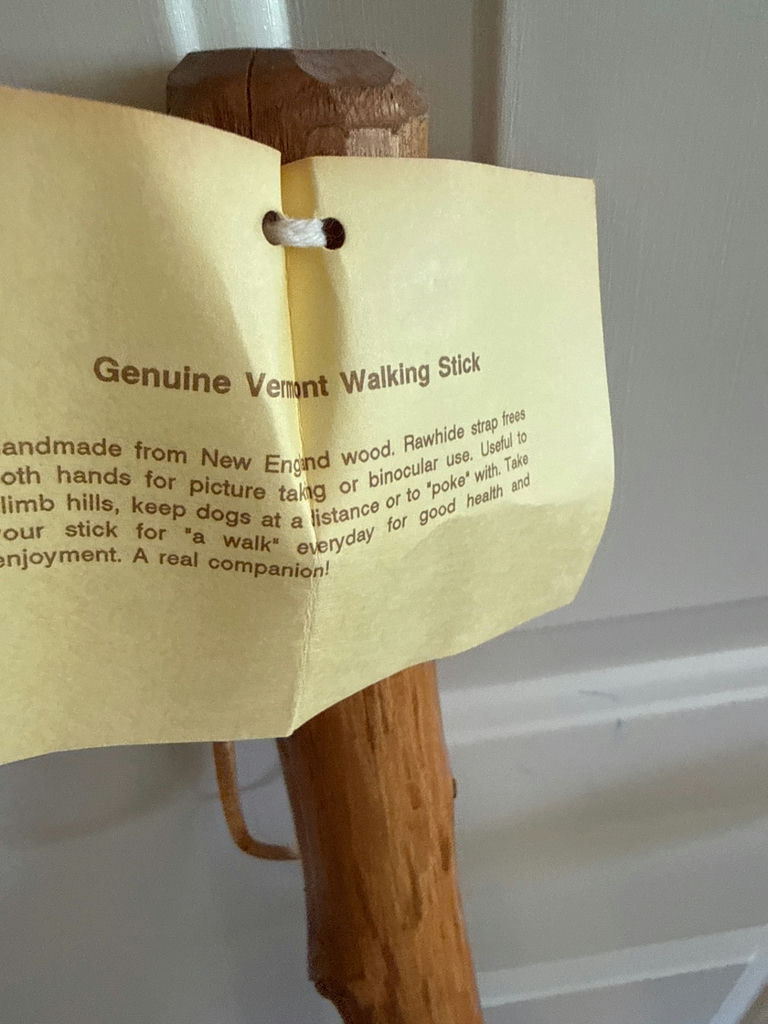 walking sticks and a broom in a metal bucket - image 3 of 4
