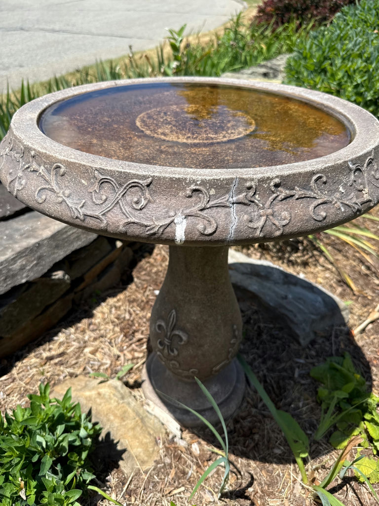 Stone bird bath with decorative rim and pedestal - image 2 of 2