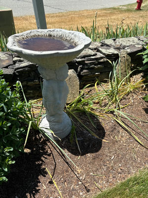 Concrete birdbath on sculpted pedestal - Image 1 of 2