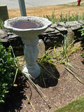 Concrete birdbath on sculpted pedestal - thumbnail 1 of 2