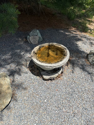 Circular stone basin on pedestal - Image 1 of 1