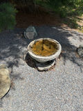 Circular stone basin on pedestal - thumbnail 1 of 1