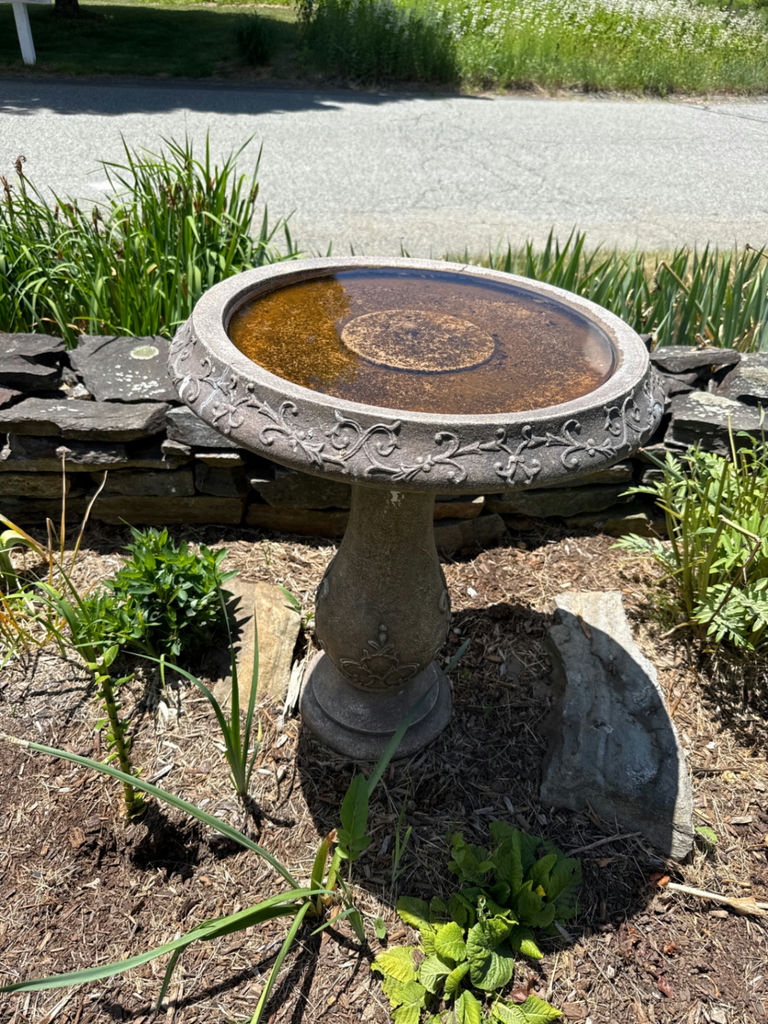 Stone bird bath with decorative rim and pedestal - image 1 of 2