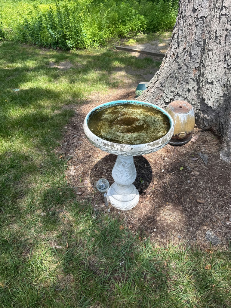 Weathered Birdbath - image 1 of 1