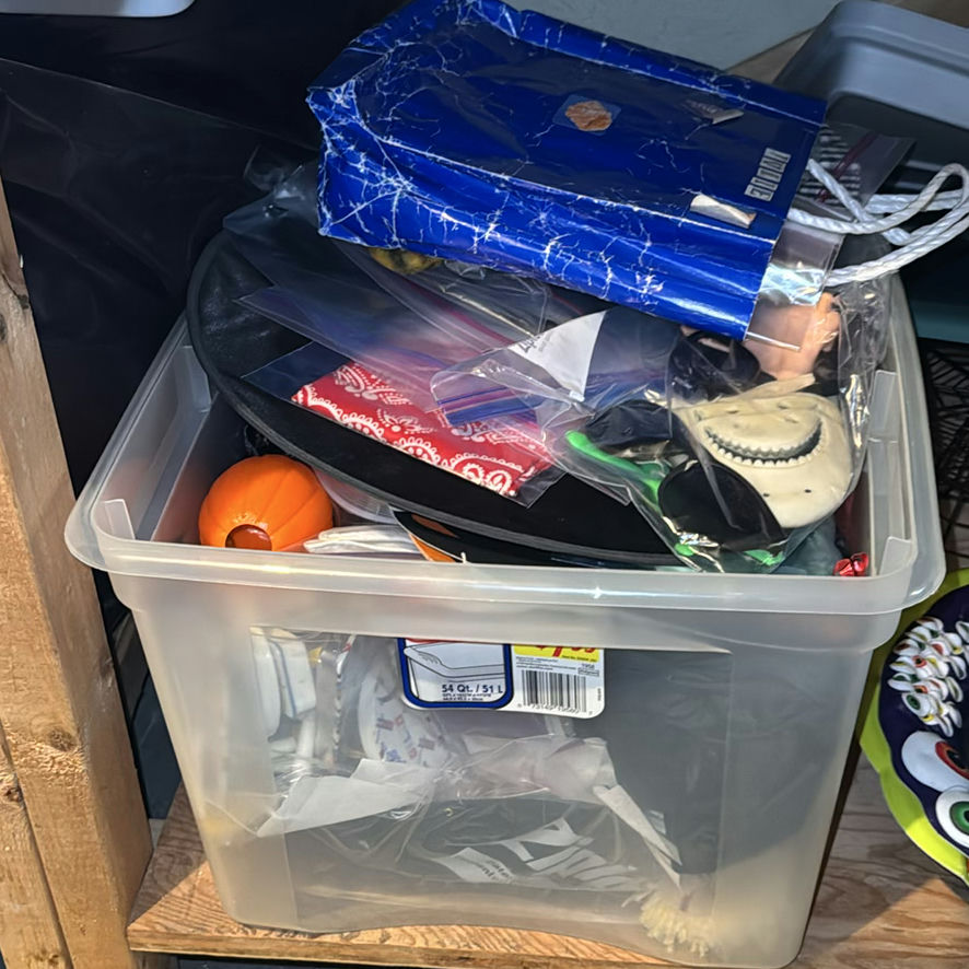 Halloween Decor Collection (2 bins) - image 7 of 14