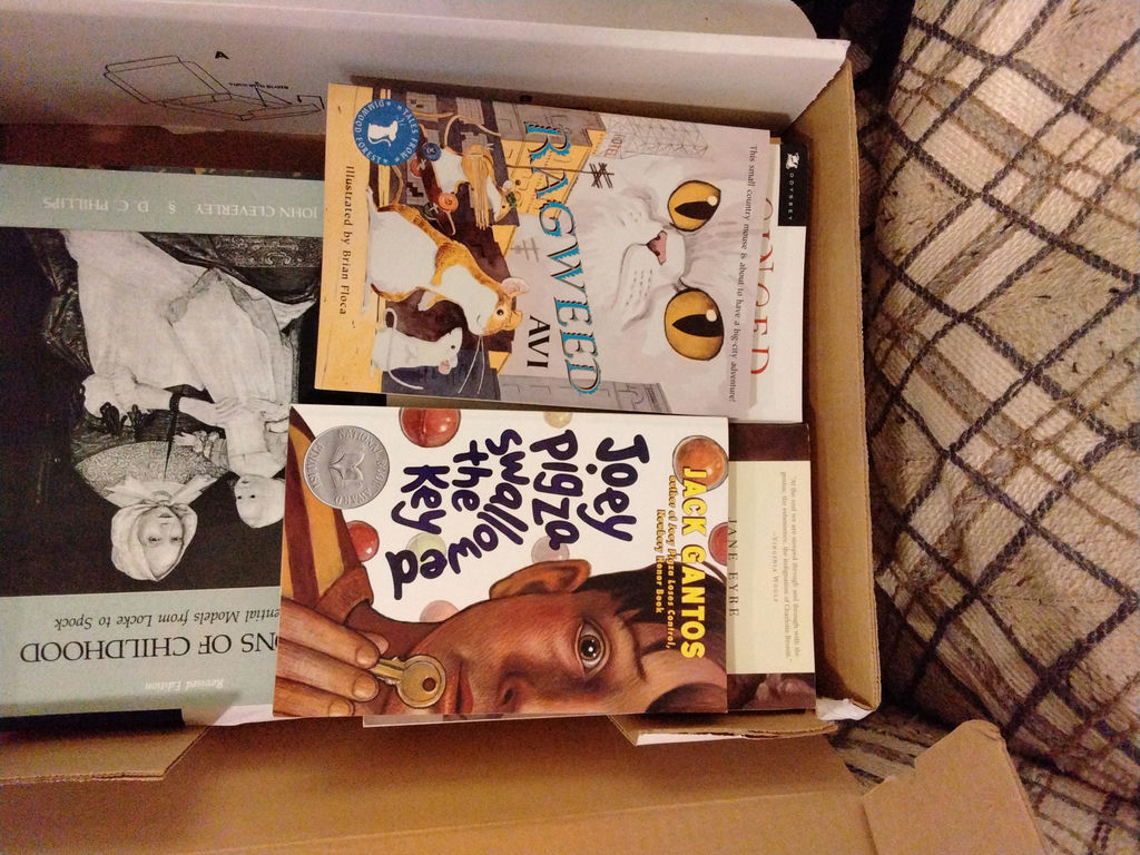 Clothing and Books in Storage Containers - image 5 of 6