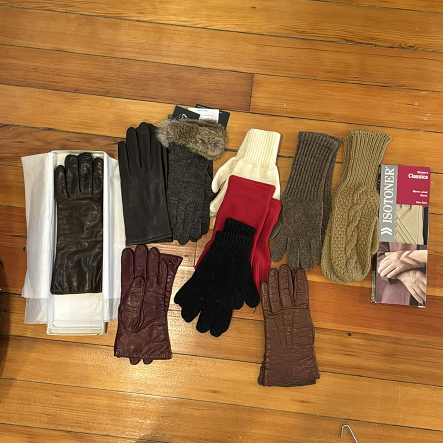 Assorted Winter Gloves with a Black Two-Drawer Organizer - image 1 of 6
