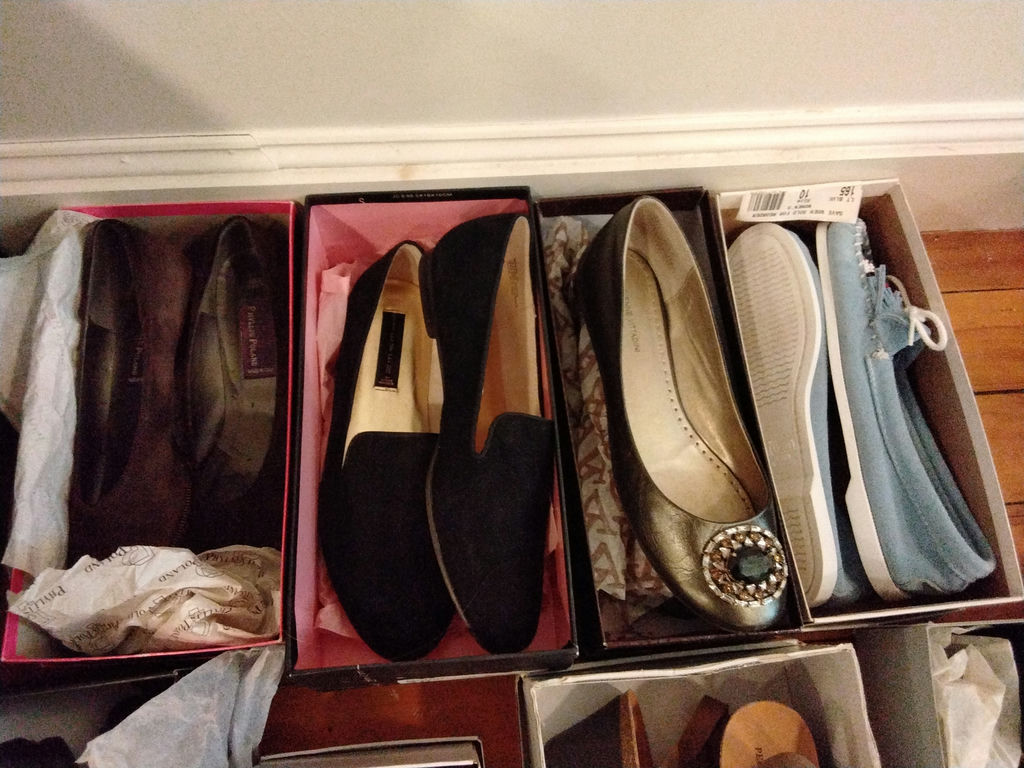 Women's Shoes in Boxes and Clear Mesh Organizer - image 6 of 6