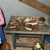 For the Fisherman in Your LIfe; Assorted decorative figurines and fish diorama - thumbnail 2 of 4