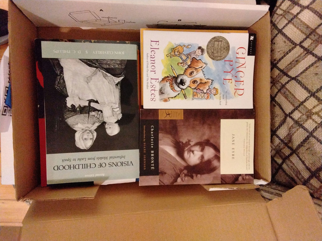 Clothing and Books in Storage Containers - image 6 of 6
