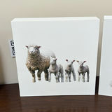 Set of Four Sheep and Lamb Wooden Wall Art Pieces - thumbnail 5 of 8