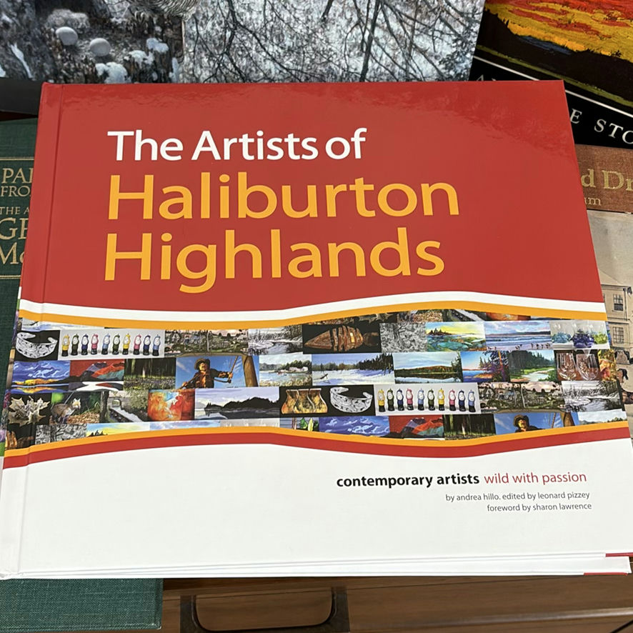 Collection of 16 Canadian Art and Artist Books - image 3 of 15