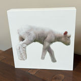 Set of Four Sheep and Lamb Wooden Wall Art Pieces - thumbnail 3 of 8
