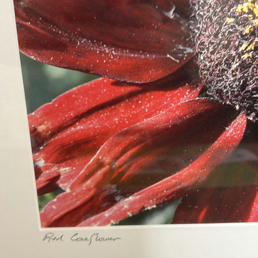 Framed Floral and Bird Artwork - image 6 of 12
