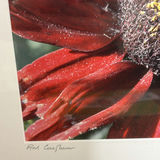 Framed Floral and Bird Artwork - thumbnail 6 of 12