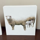 Set of Four Sheep and Lamb Wooden Wall Art Pieces - thumbnail 4 of 8