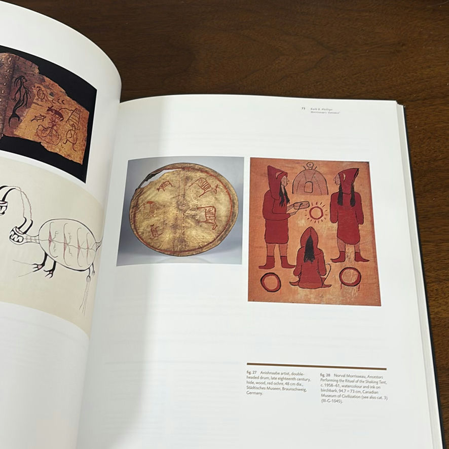 Norval Morrisseau and Indigenous Art Hardcover Books - image 8 of 9
