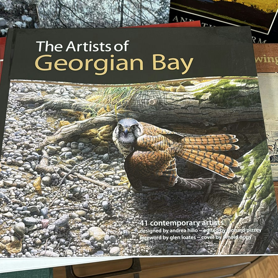Collection of 16 Canadian Art and Artist Books - image 2 of 15
