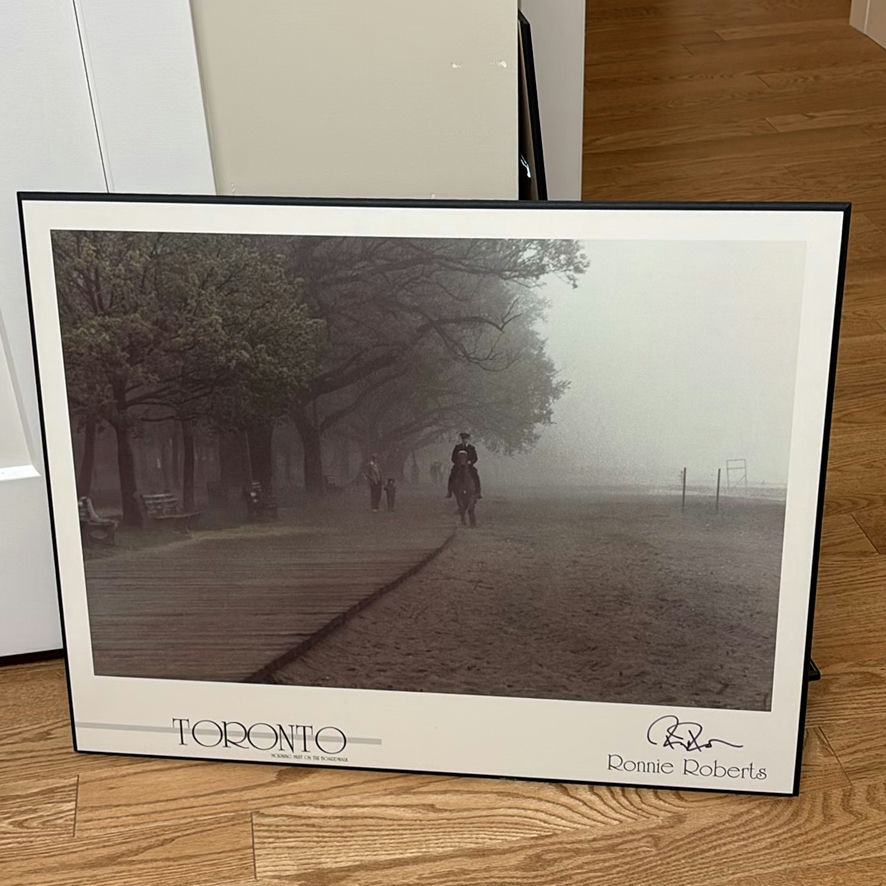 Three Framed Toronto and Cat Art Prints - image 4 of 14