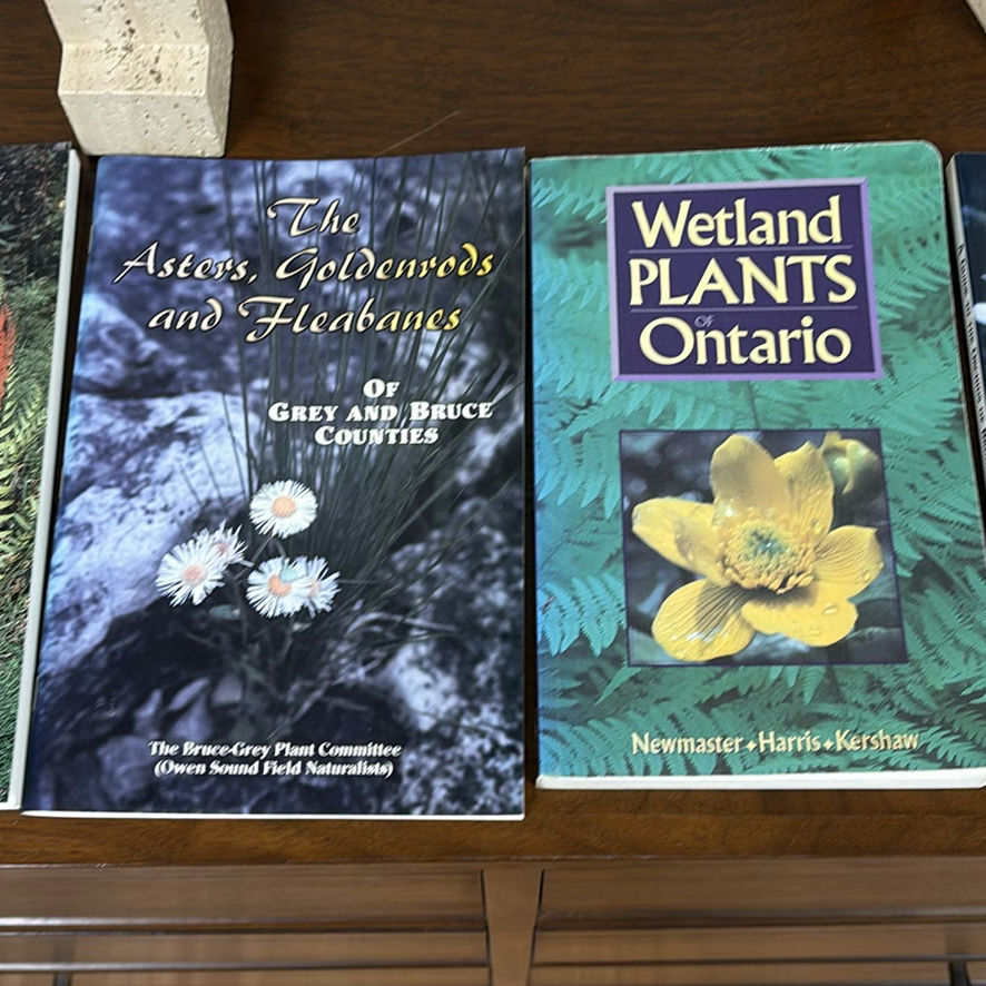 Nature and Plant Guide Books with Stone Bookends - image 6 of 12