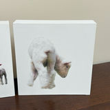 Set of Four Sheep and Lamb Wooden Wall Art Pieces - thumbnail 6 of 8