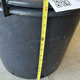 Plant Pots, Saucers, Stands, and Wire Basket - thumbnail 11 of 12