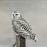 ORIGINAL ART Winter Landscape by David Fewster - thumbnail 5 of 10