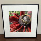 Framed Floral and Bird Artwork - thumbnail 2 of 12