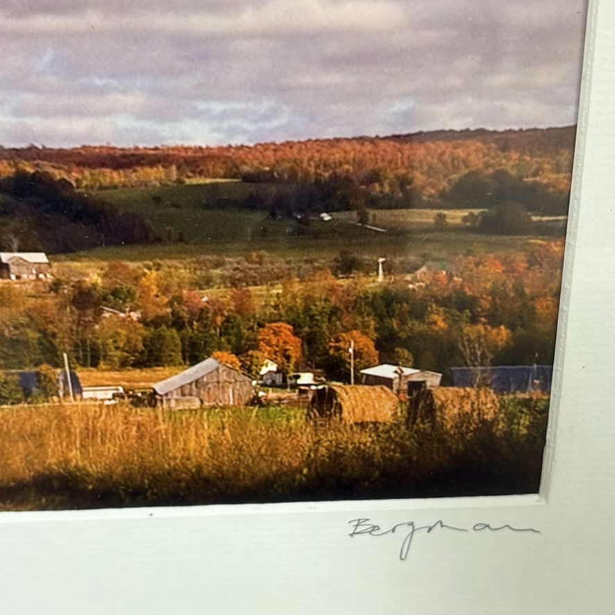 Collection of Framed Farm Artwork - image 9 of 12