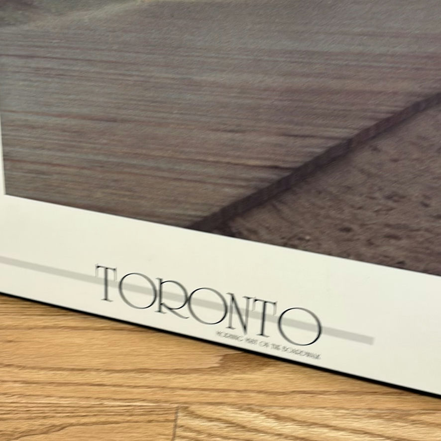 Three Framed Toronto and Cat Art Prints - image 6 of 14