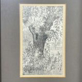 Three Framed Landscape and Tree Art Prints - thumbnail 4 of 13