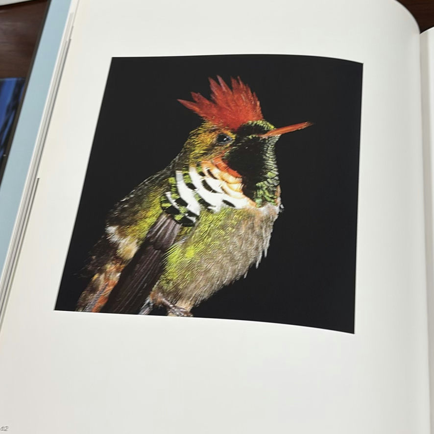 Collection of TEN Bird and Wildlife Books - image 8 of 11